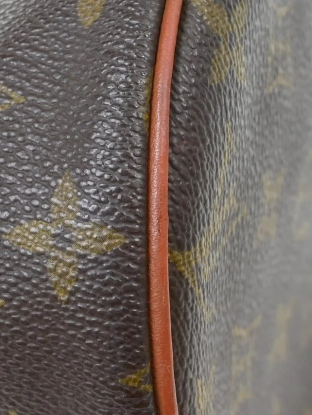 Louis Vuitton Monogram Papillon 30 Handbag